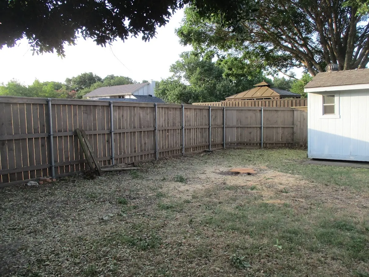 Cleared yard after professional tree removal in Nashua